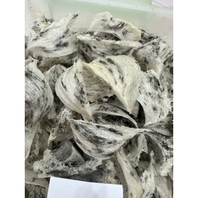 Yến Thô (100gram) chưa tinh chế