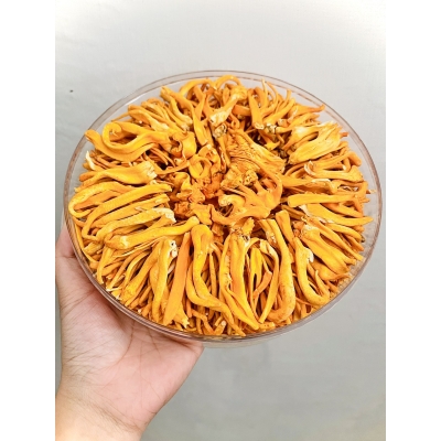 Đông Trùng Hạ Thảo Sấy Thăng Hoa 