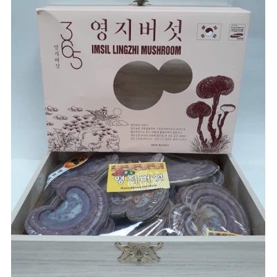  Nấm Linh Chi Tím IMSIL LINHZHI MUSHROOM hộp gỗ 1kg