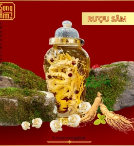 Rượu sâm long phụng - Lớn 