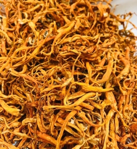 ĐÔNG TRÙNG HẠ THẢO TƯƠI - KHÔ ĐƯỢC NUÔI CÂY GHÉP