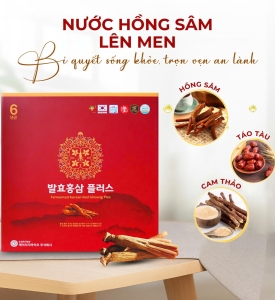 NƯỚC HỒNG SÂM LÊN MEN 