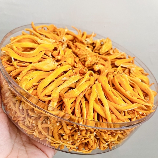 Đông Trùng Hạ Thảo Sấy Thăng Hoa 